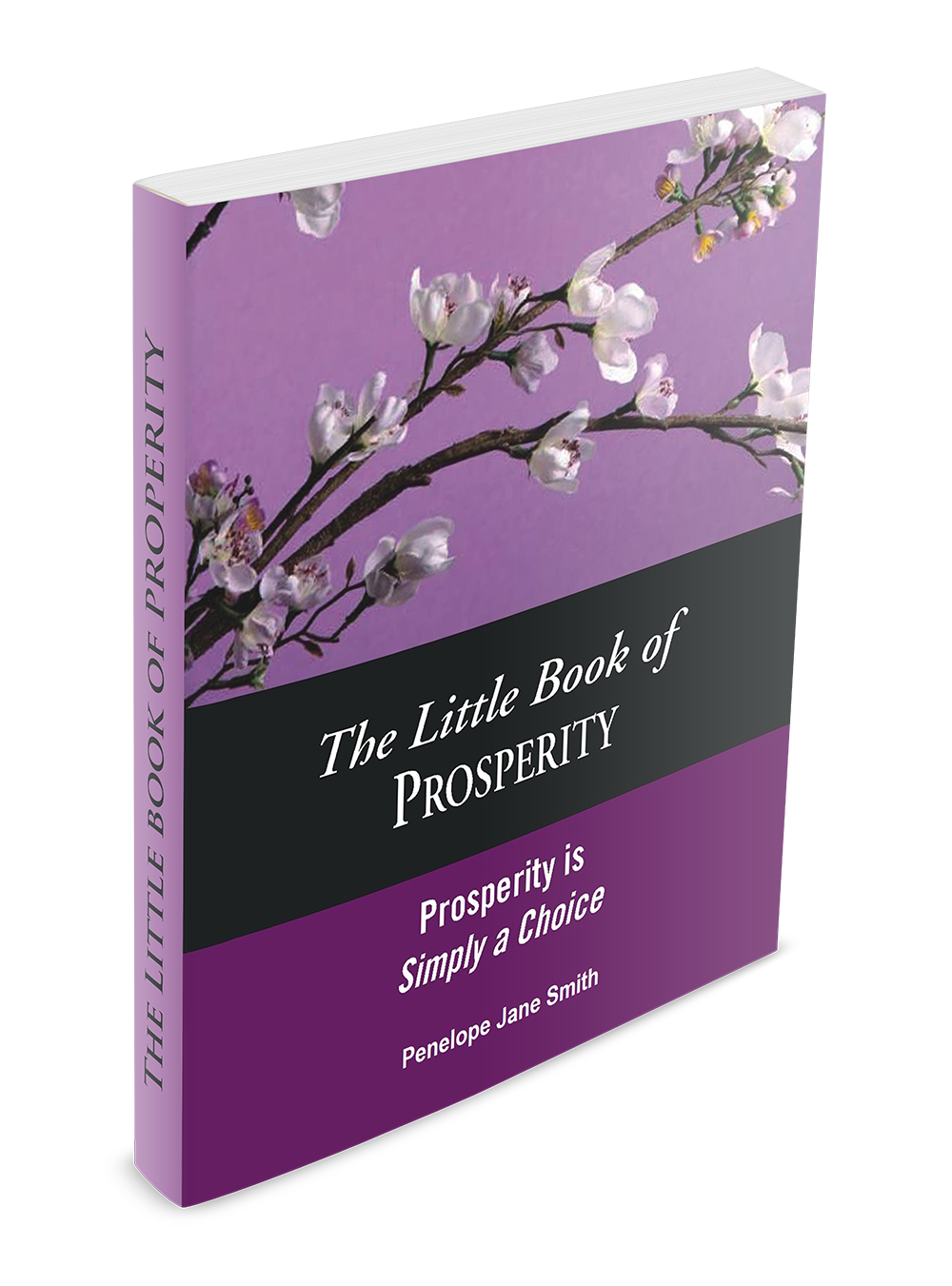 TheLittleBookofProsperity3DPJS